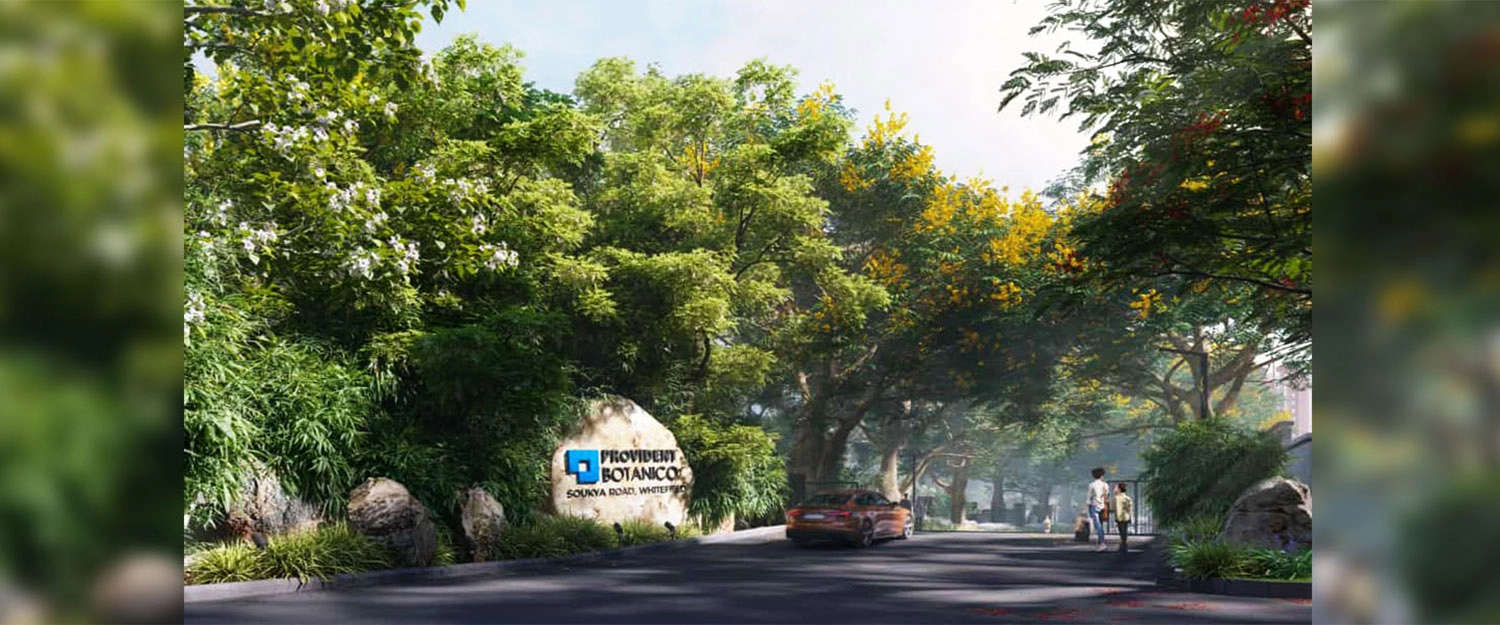 Project Entrance View