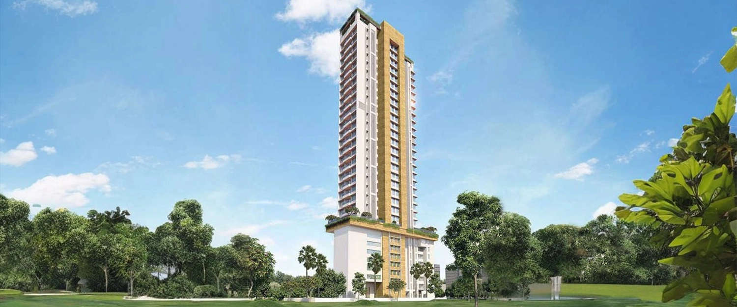 Elevation Image