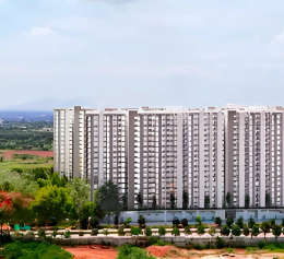 provident-ecopolitan