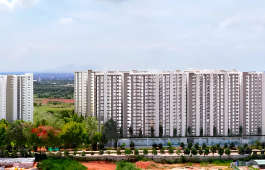 provident-ecopolitan