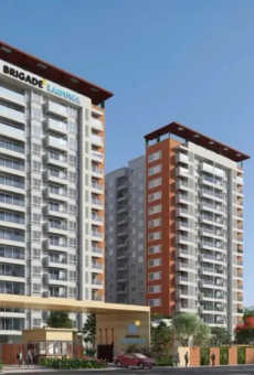 Brigade Laguna