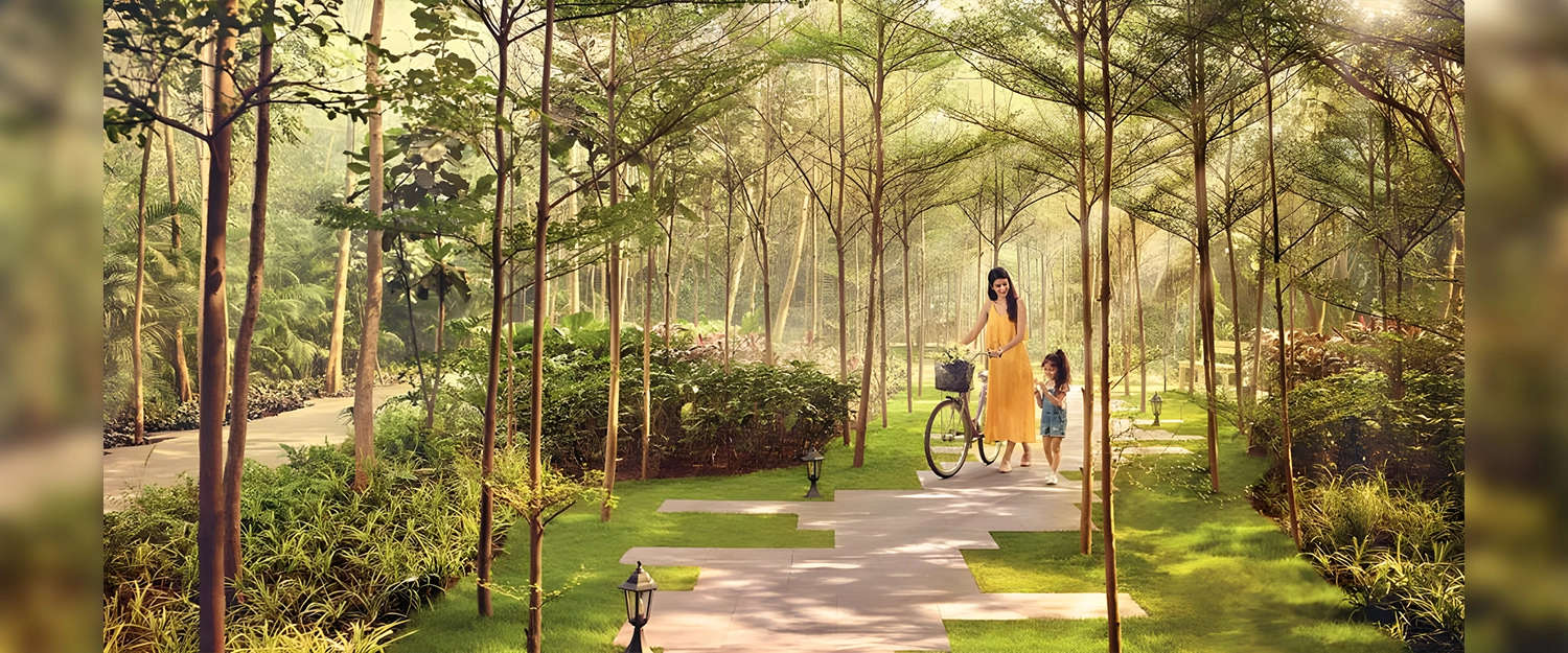 Outdoor Amenities