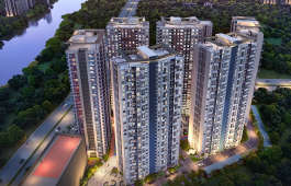 geras-joy on the treetops