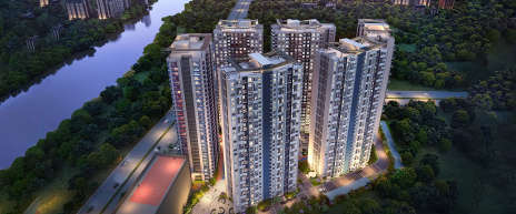 Geras Joy on the Treetops