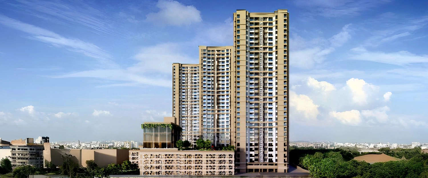Elevation Image