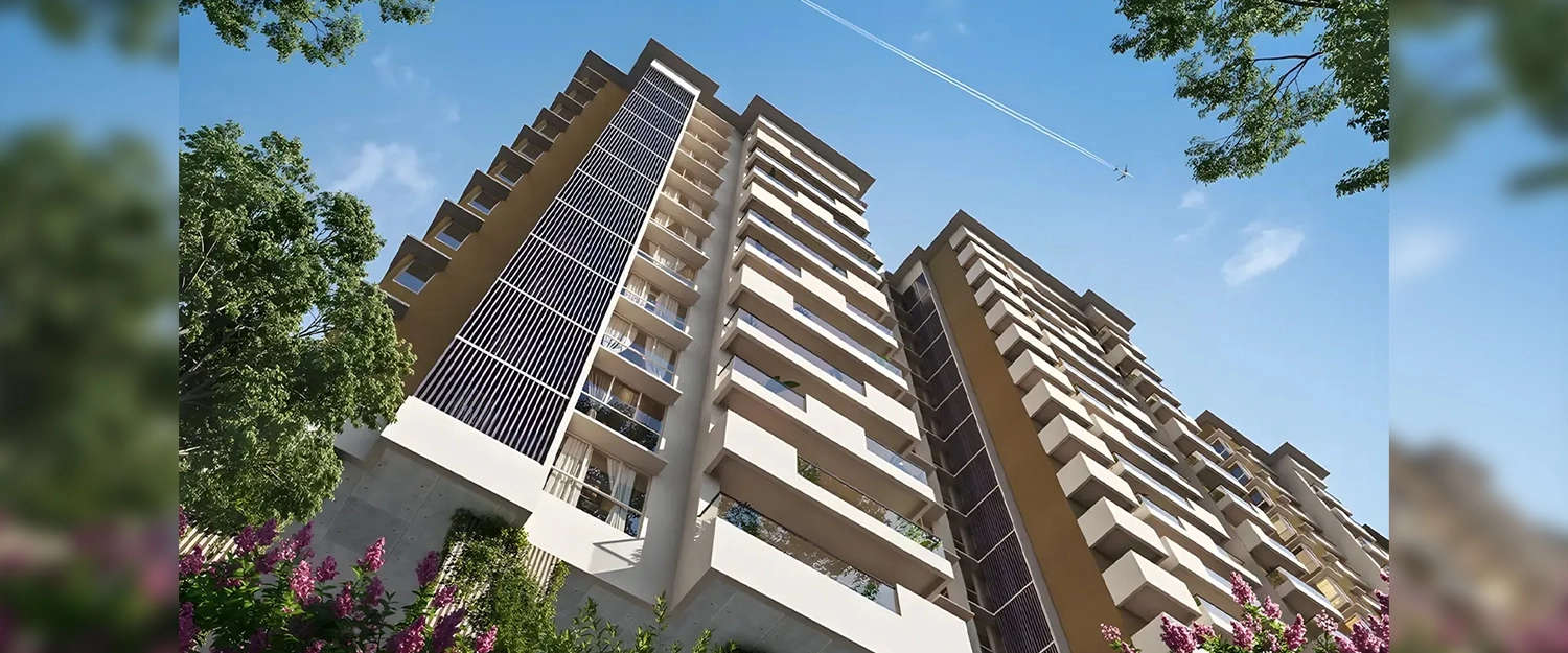 Elevation Image