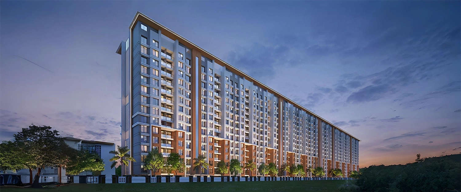 Elevation Image