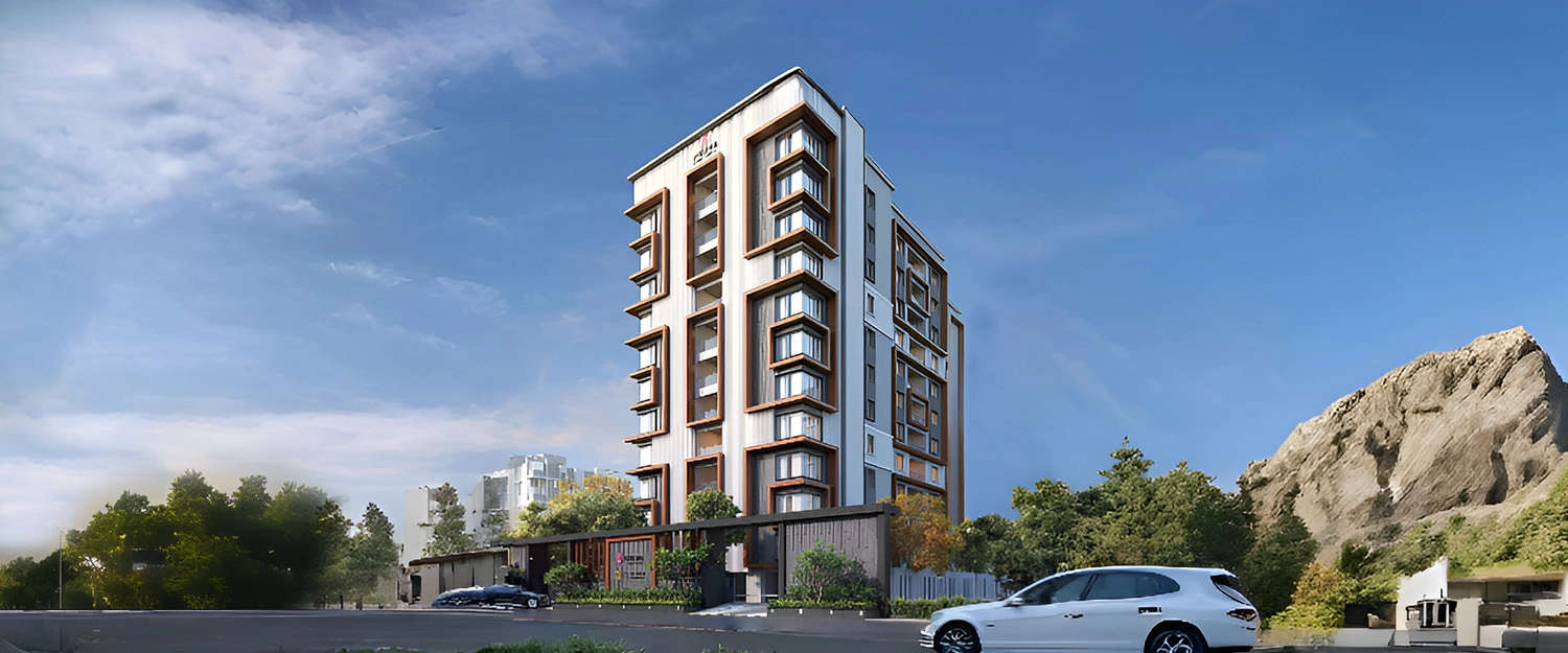 Elevation Image