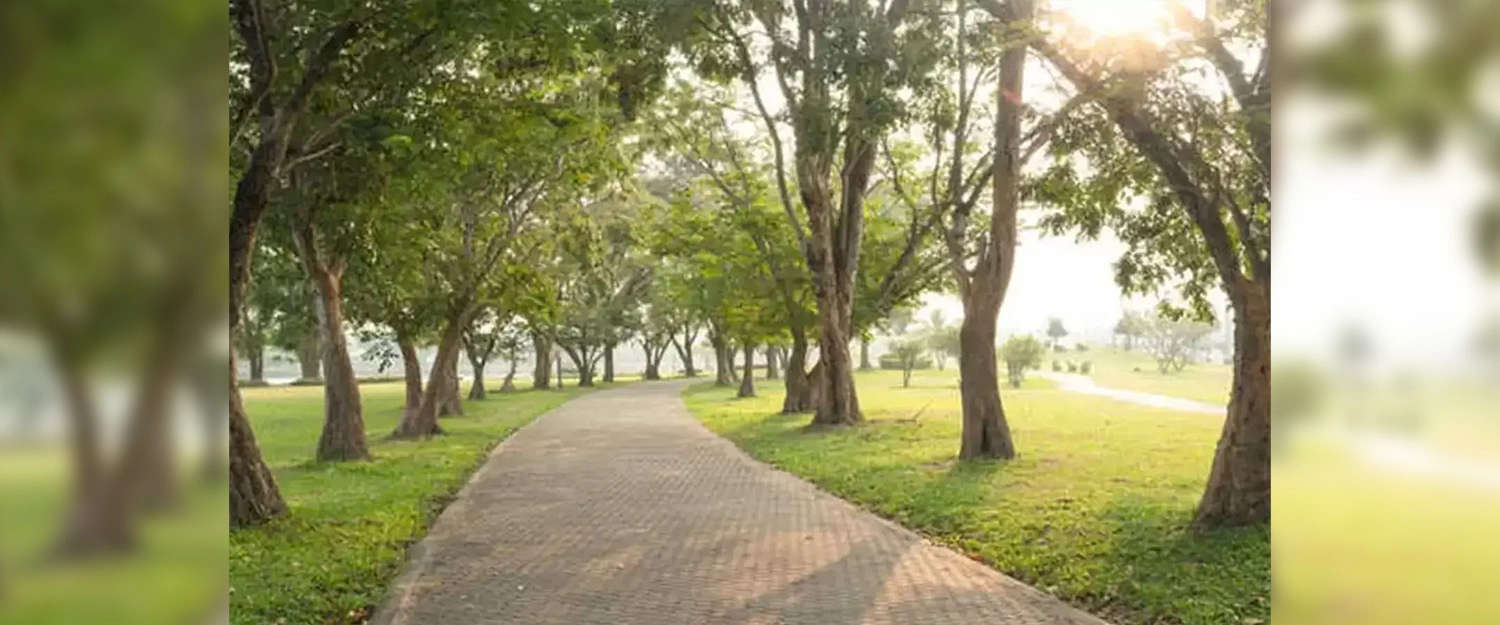 Outdoor Amenities