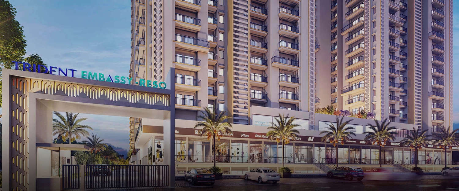 Project Entrance View