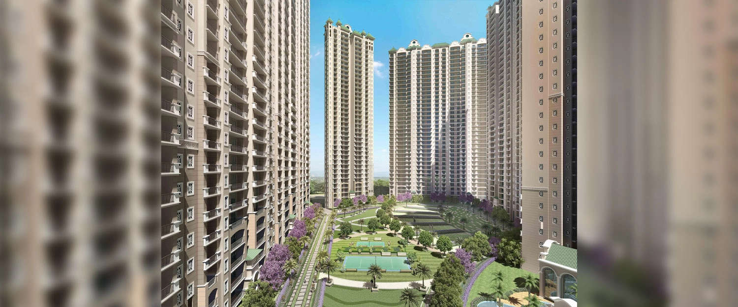 Outdoor Amenities