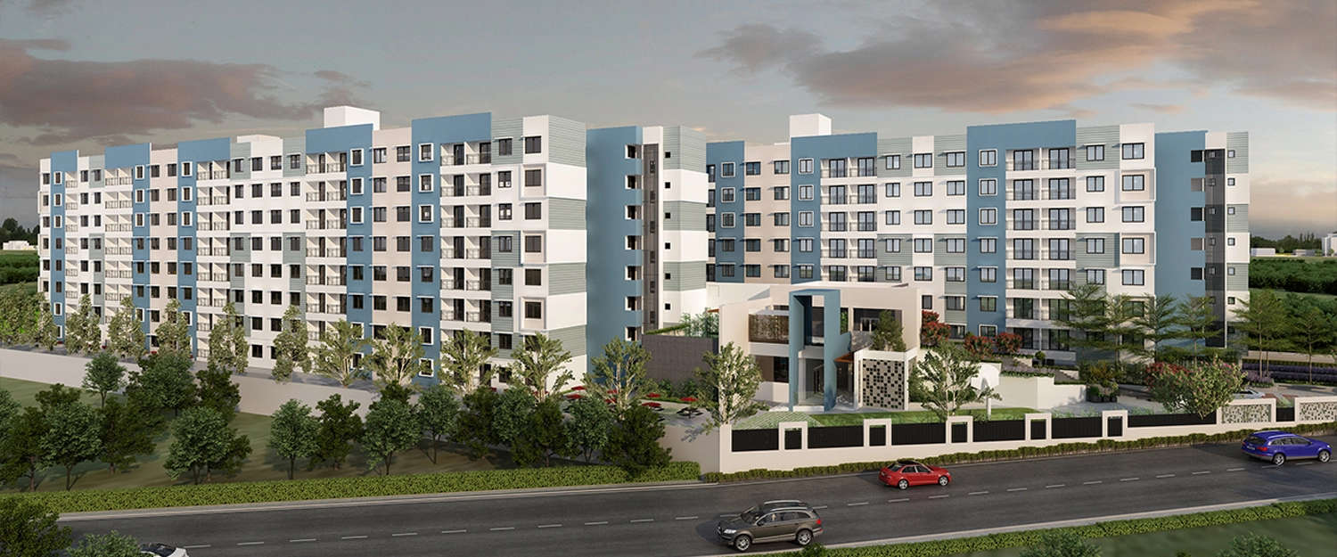 Elevation Image