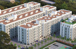 kg-house of champions