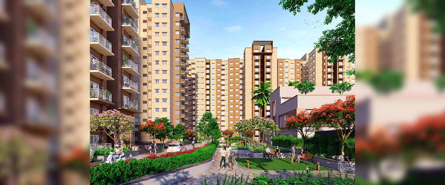 Outdoor Amenities