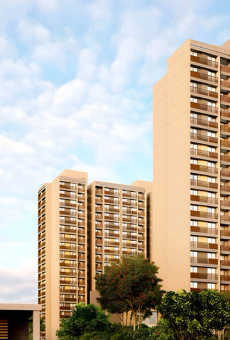 Arvind Oasis