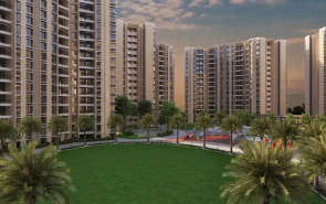 Pride Kingsbury Charholi