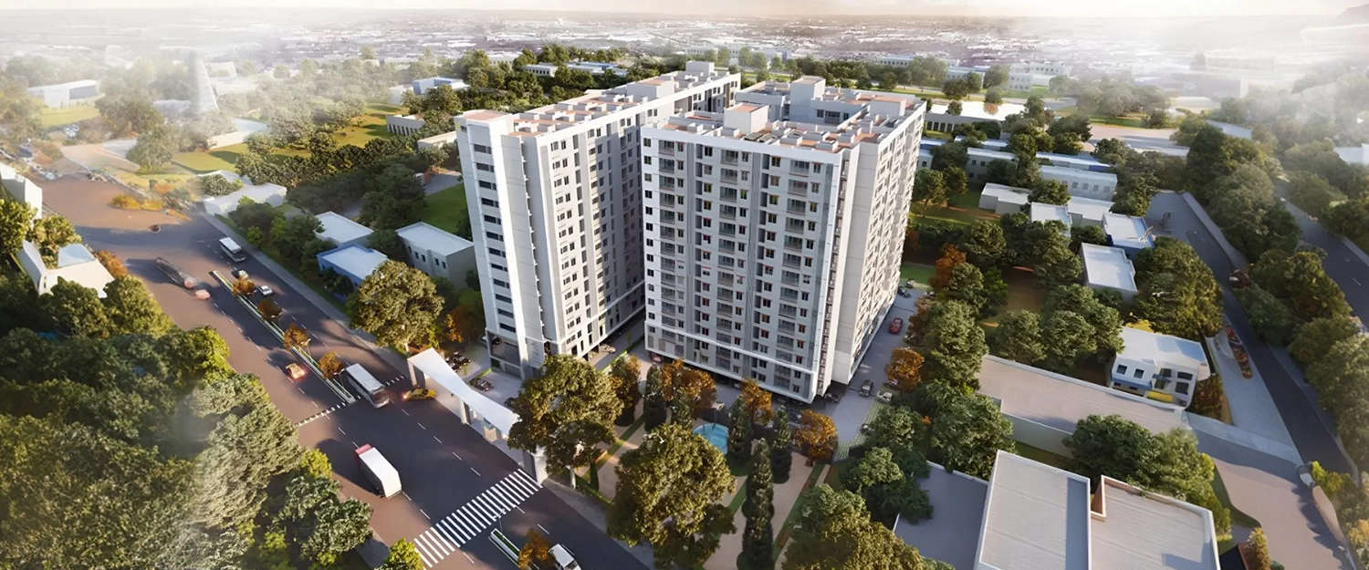 Elevation Image