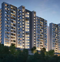 paranjape-schemes forest trails everglades