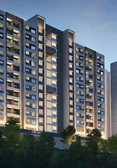 paranjape-schemes forest trails everglades