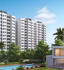 paranjape-schemes forest trails everglades