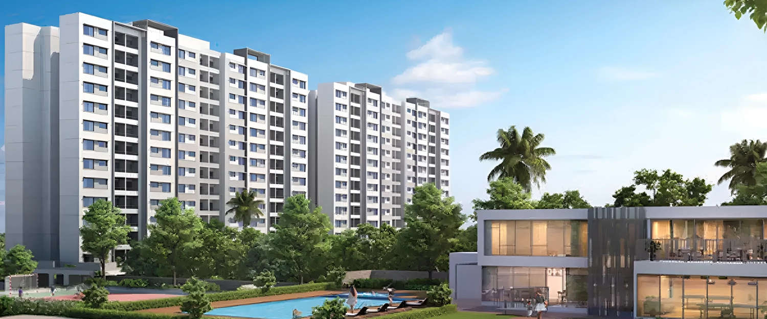 Paranjape Schemes Forest Trails Everglades