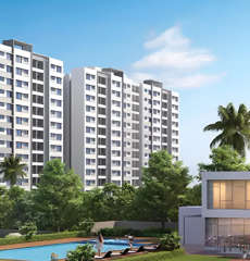 paranjape-schemes forest trails everglades