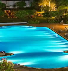 paranjape-schemes forest trails everglades