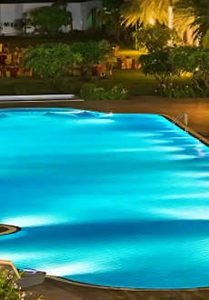 paranjape-schemes forest trails everglades