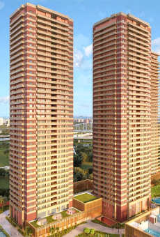 Max Estate 360