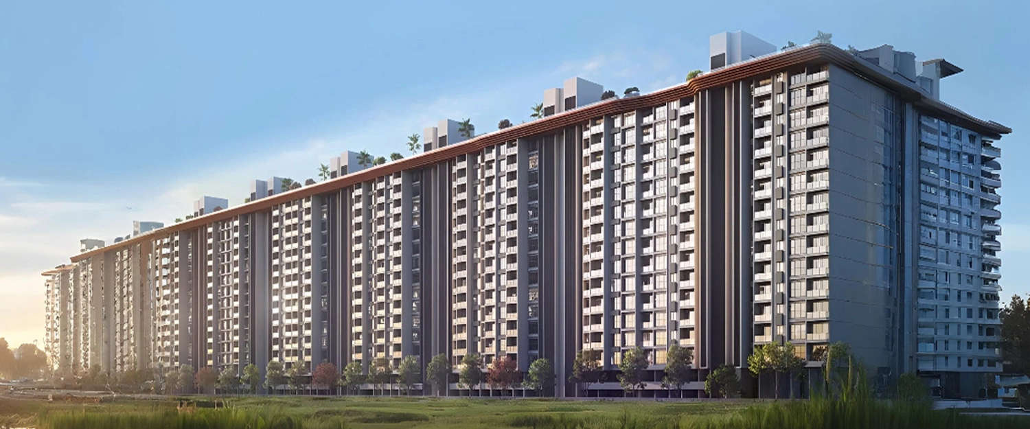 Elevation Image