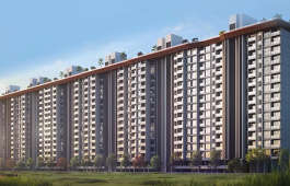 saheel-itrend trendy west