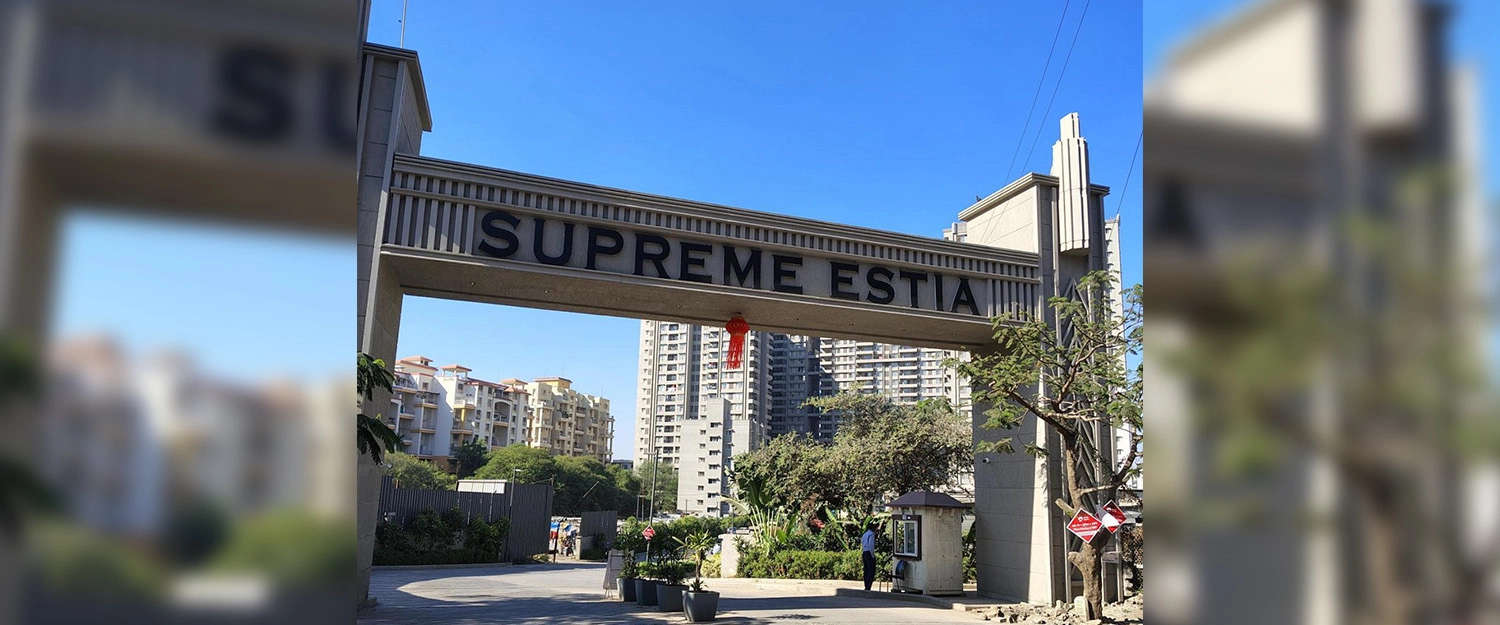 Project Entrance View