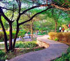 Solitaire Homes Pashan - Amenities