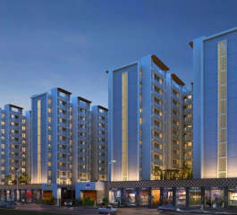 excellaa-panama park