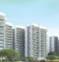 sai-proviso leisure town