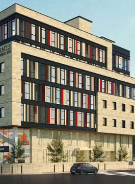 ekta-oracle business hub