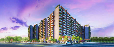 Adani 9 PBR