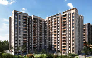 TVS Emerald Auralis - Elevation