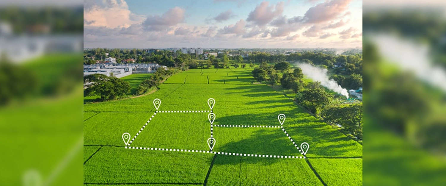 NeoLiv Khopoli Plots