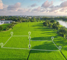 neoliv-khopoli plots