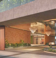 excellaa-talk of the town