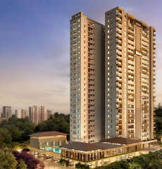 majestique-exclusive 90