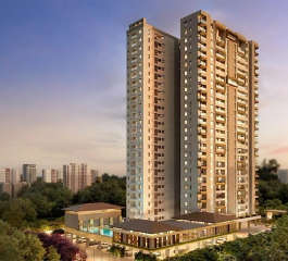 majestique-exclusive 90