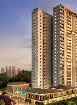 majestique-exclusive 90