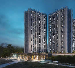 saniket-wyce exclucity