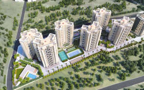 Kumar Princetown Royal Mohammed Wadi