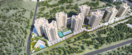 Kumar Princetown Royal Mohammed Wadi