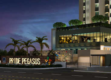 Pride Pegasus