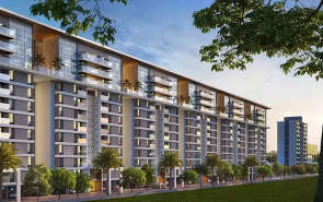 Majestique Ephelia Kondhwa