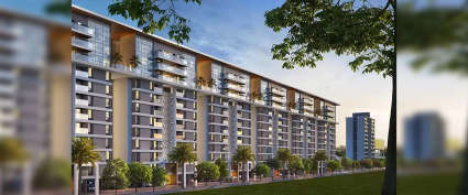 Majestique Ephelia Kondhwa